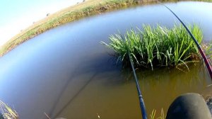 КАРАСЬ В НОЯБРЕ! На что можно поймать осенью карася!