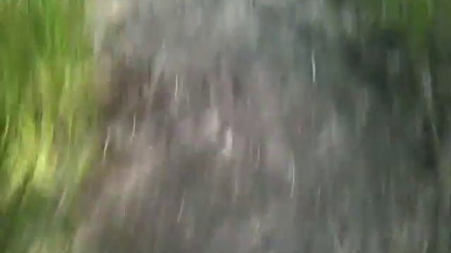 Gerbil Play Time #2 Hopper makes a nest in the wild! смотреть онлайн