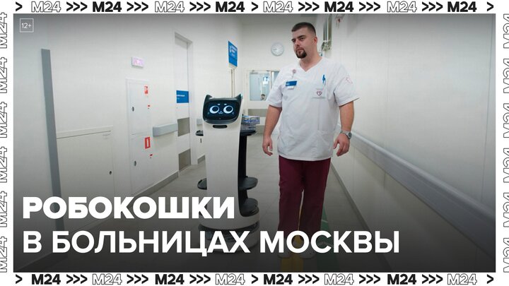 В московских больницах появились "Робокошки" - Москва 24