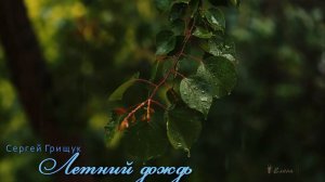ЛЕТНИЙ ДОЖДЬ*