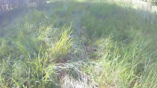 Боровое: Прогулка вокуг озера Катарколь смотреть онлайн