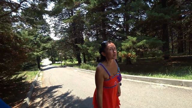 Сочи 2020. Дендрарий. Красивее не бывает. смотреть онлайн