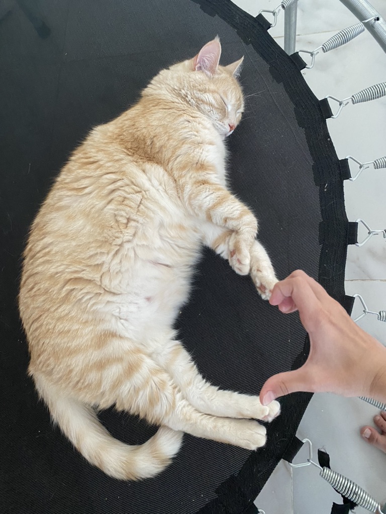 Песни#@#