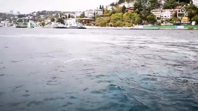 Регата в проливе Босфор в Стамбуле смотреть онлайн