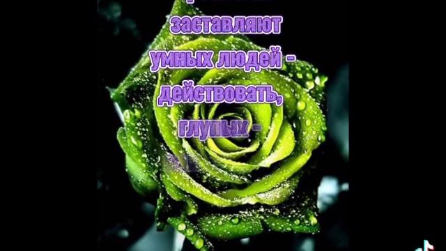 цитаты про поддержку. статус для инстаграм смотреть онлайн