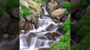 Бедный я человек (стих Натальи Шевченко)