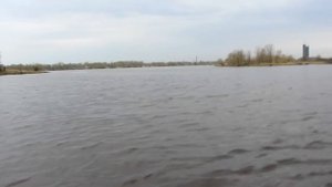Yamaha outboard motor 2.5 hp Лодочный мотор Ямаха 2,5