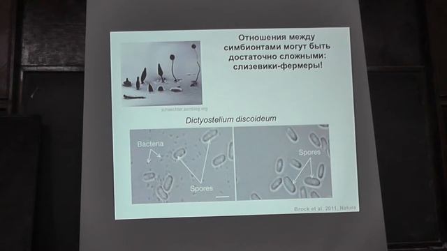 21 Симбиоз смотреть онлайн