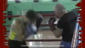 Бокс Тренировка на Лапах Отработка комбинаций!