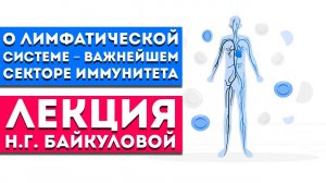 Лекция Н.Г. Байкуловой «О лимфатической системе – важнейшем секторе иммунитета»