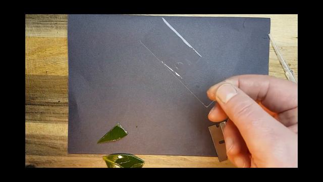 Vascular Tissue & Leaf Anatomy for SETU Plant Biology смотреть онлайн