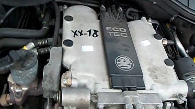 XX-18.AVI смотреть онлайн