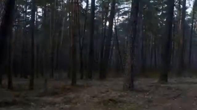 А С Пушкин Медный всадник  Вступление online video cutter com смотреть онлайн