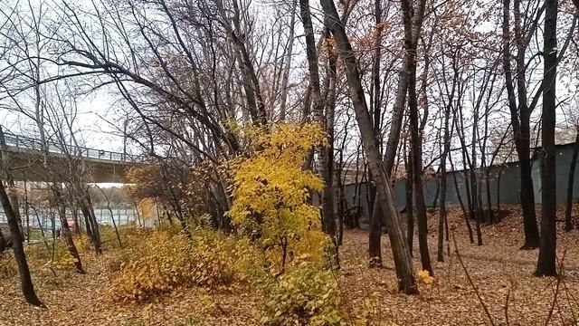 Трамваи на эстакаде через Варшавское шоссе и Павелецкое направление МЖД смотреть онлайн