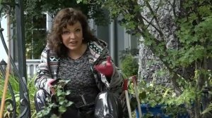 МАЛИНА ДЕКОРАТИВНАЯ БЕТТИ ЭШБЕРНЕР