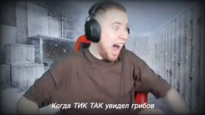 грибы нападают на тик так