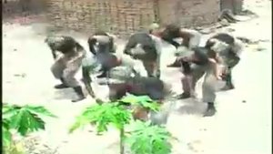 Koffi Olomide - Respect