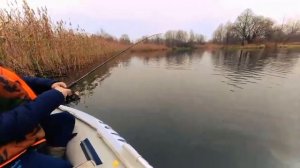 #о.Чёрное #Гомельская обл. #Речицкий район   #14.11.2020