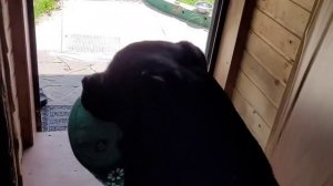 ШУНЯ СТРОИТ ГЛАЗКИ,ДЮША СРАЖАЕТСЯ С ВОДЯНЫМ ДРАКОНОМ