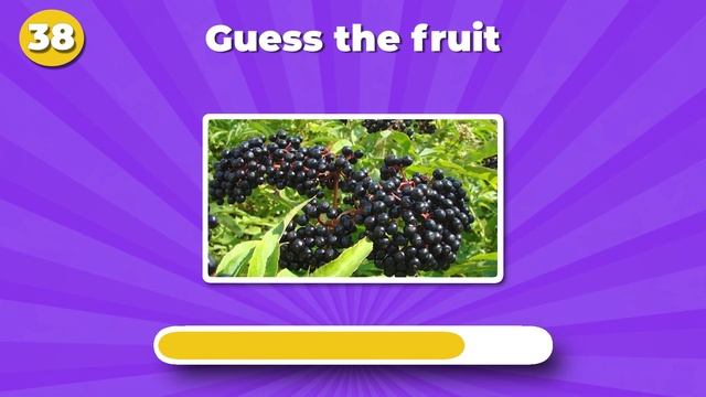 Guess The Fruit Challenge ?? | Fruit Quiz