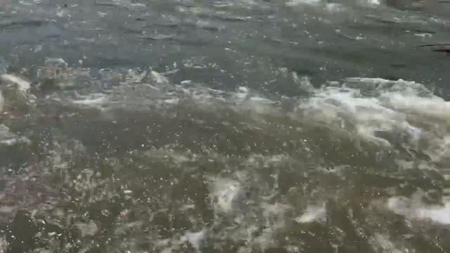 Рафтинг на Южном Буге смотреть онлайн