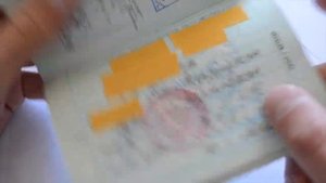 Как выглядит РВП? Как выглядит разрешение на временное проживание?