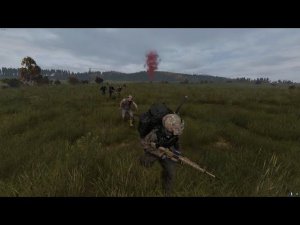 DAYZ. Дорога на ваниль