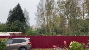 Первый снег в Подмосковье 7 октября 2023 года. Видео Михаила Леуса