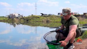 Ловля линя на фидер