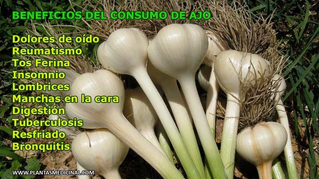 El Ajo - Propiedades y Beneficios смотреть онлайн