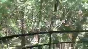 #3Поездка в Геленджик  из Казани на Гранте август 2020  Кабардинка Экскурсия в Старом саду....