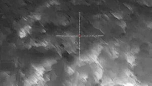 Леший 2, охота на крыс