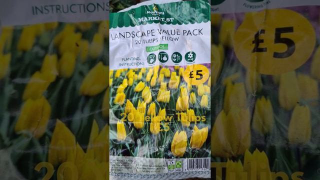 Morrisons Spring Bulb Value Packs | Tulips  Daffodils Alliums | Plant in Autumn Flowers Spring 2022