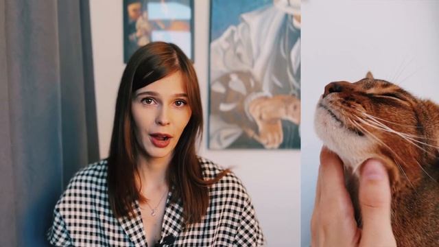 КАКУЮ ПОРОДУ ВЫБРАТЬ? / АБИССИНСКАЯ КОШКА / ПРИЧИНЫ ВЫБРАТЬ