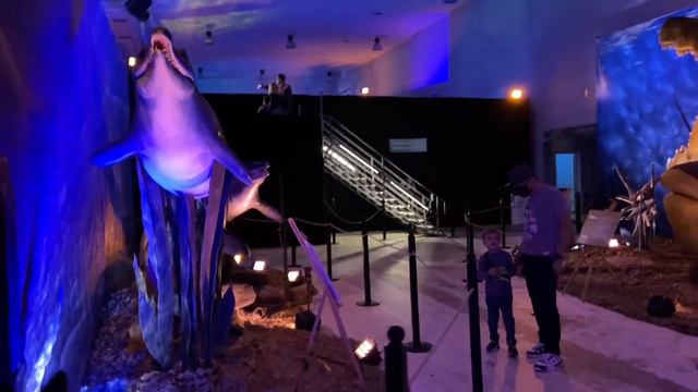 Обзор всемирно интерактивной выставка "Monsters of the Sea" в Украине смотреть онлайн