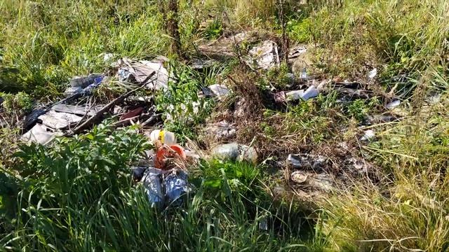 Дикий человек добрался до дороги смотреть онлайн