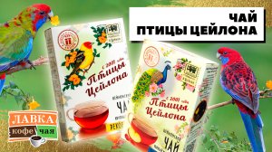 Чай Птицы Цейлона: разбираем все виды и вкусы! Что общего у райских птиц и чайных плантаций?