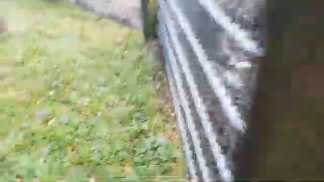 Обзор на-Дикий ЗООПАРК в Европе! |треш обзор. смотреть онлайн