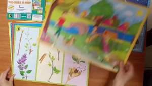 Человек и мир. Методические рекомендации по работе с тетрадью и плакатами 1 класс.