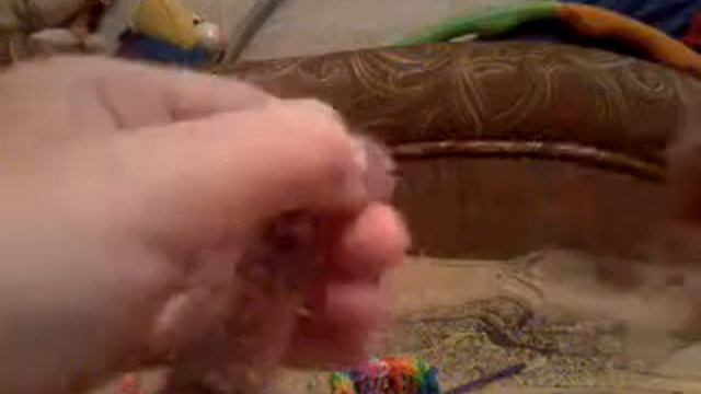 Плетение из резинок.Урок 33.Лестница.ч 2 смотреть онлайн