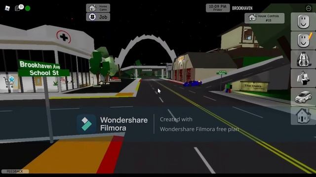 ROBLOX BROOK HEAVEN FOR FIRST TIME - MEME GIRL - SECRET REVEAL смотреть онлайн