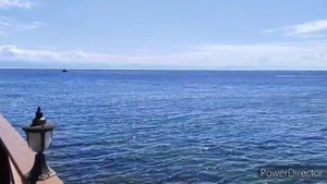 Листвянка. Кафе Шуры-Муры