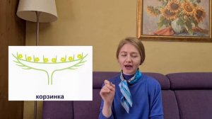 БОТАНИКА||СОЦВЕТИЯ