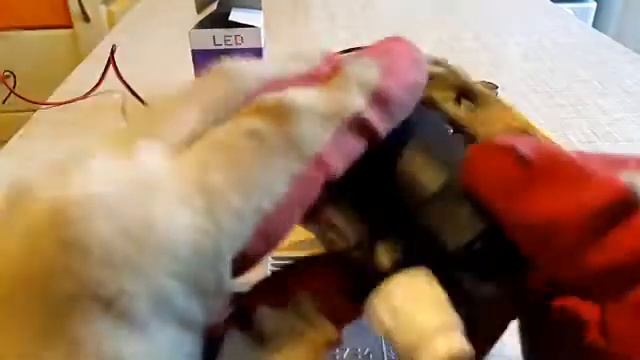 Подключение Генератора г.427 к комутатору 3734 мотоцикл Восход-Минск! смотреть онлайн