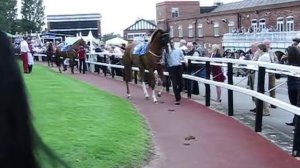 Pontefract Races Canon Powershot SX270 HS Video Test