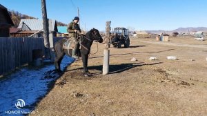 Обучение лошади Республика Алтай