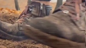 Курица в фольге и запечённая в яме с картошкой. На природе быстрй рецепт ? ?