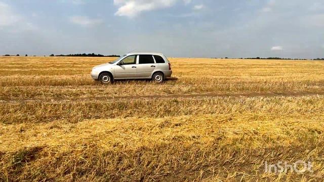 TX850, MT705 катушка TC800 стабильность, ложняки смотреть онлайн