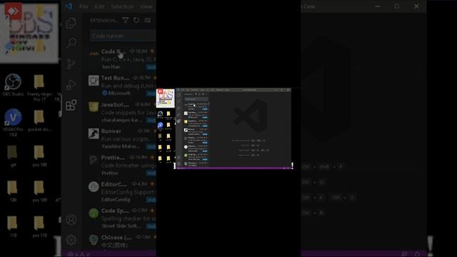 How to run python in VS Code // Code Runner