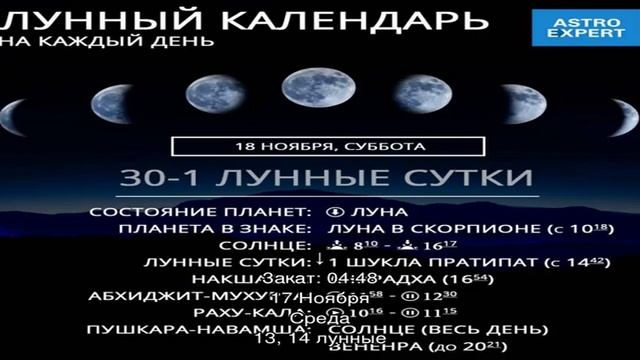 Лунный календарь посевных и полевых работ на ноябрь для огородника, садовода и цветовода смотреть онлайн